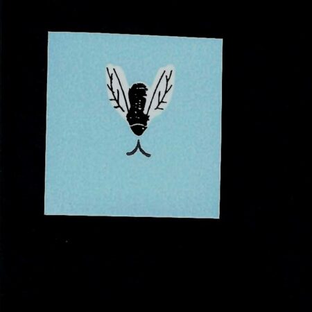 11e Flying Bug Bug