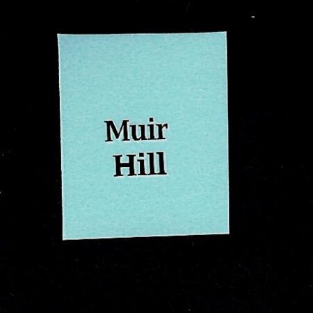 2c Dumper Muir Hill